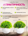 Цветы искусств. вечнозеленые в горшке 1шт