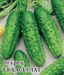 Огурец Хасбулат 100шт Гавриш