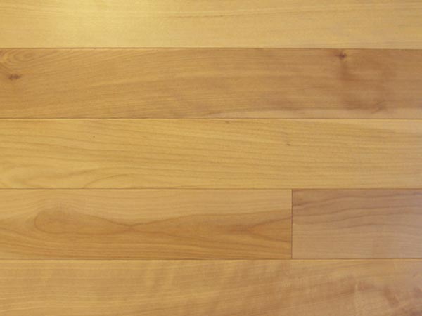 Древесина береза Древесина береза