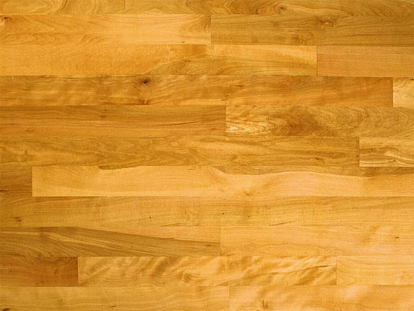 Древесина бука Древесина бука