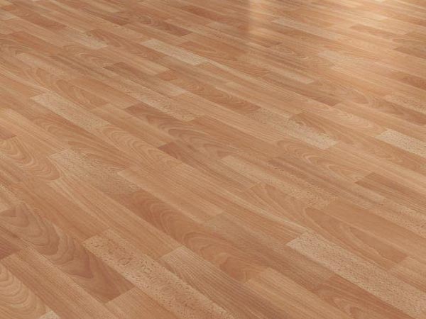 Древесина бука Древесина бука