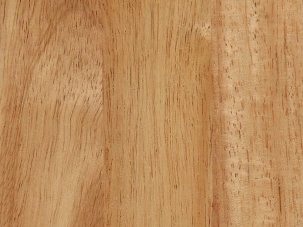 Древесина бука Древесина бука