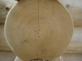 Древесина ели