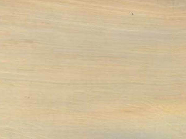 Древесина граба Древесина граба