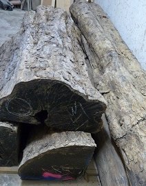 Древесина гренадила Древесина гренадила