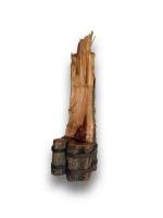 Изделия из казуарины