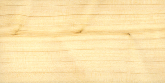 Древесина кипариса Древесина кипариса