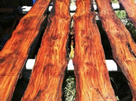 Древесина махагони