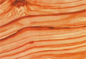 Древесина маслины