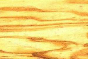 Древесина маслины