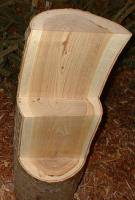 Древесина осина