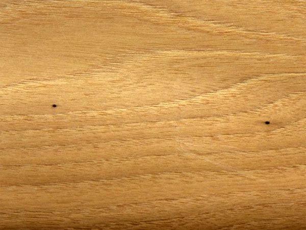 Древесина робинии Древесина робинии