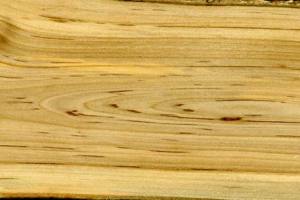 Древесина рябины