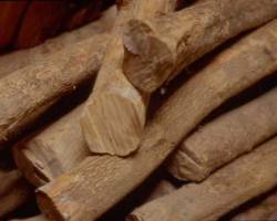 Древесина самшита Древесина самшита