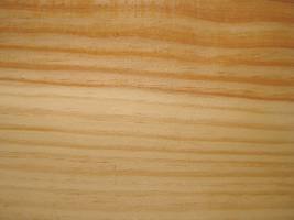 Древесина сосны