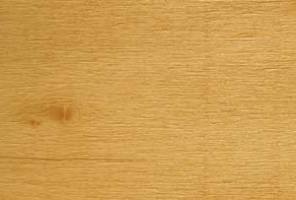 Древесина тополя Древесина тополя