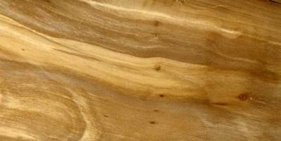 Древесина яблони Древесина яблони