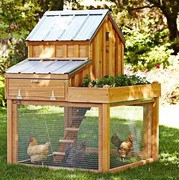 Курятник на даче